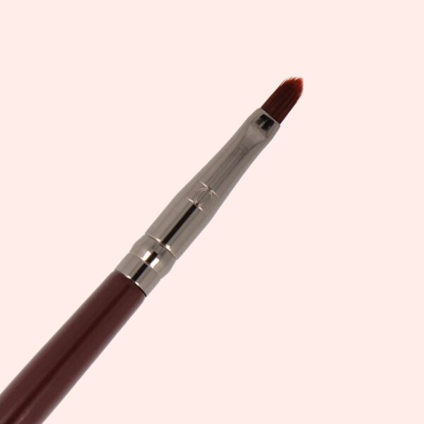 didier lab esthétique pro master ecset 01, 1 db