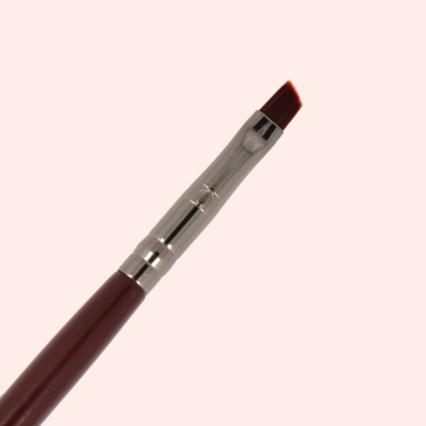 didier lab esthétique pro master ecset 02, 1 db