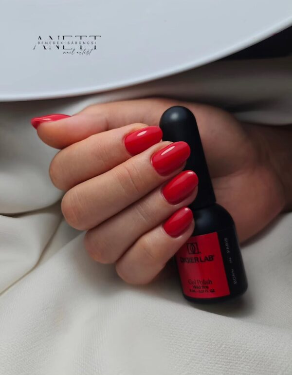 studios didier hibrid gél lakk, wild fire, 8 ml